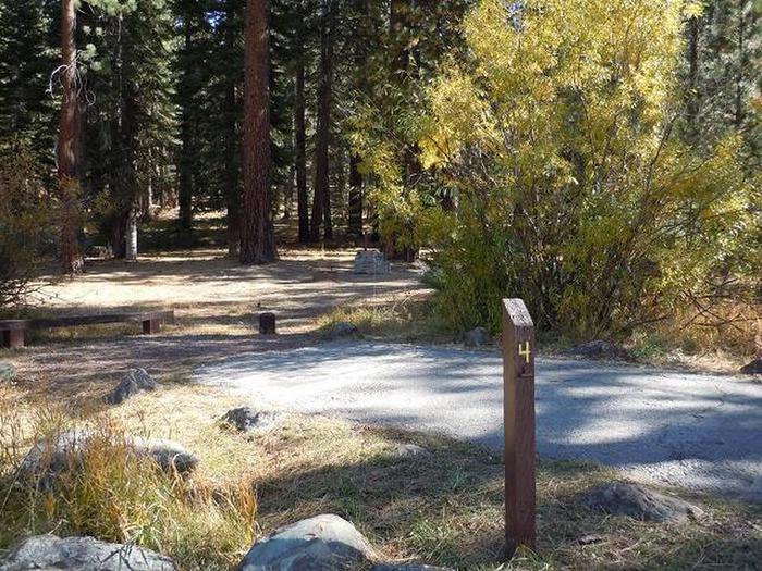 Cold Creek campsite 4