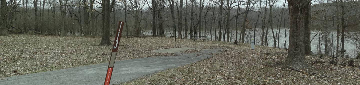 picnic table and fire pit to the left of camp pad, electric to the right of pad.