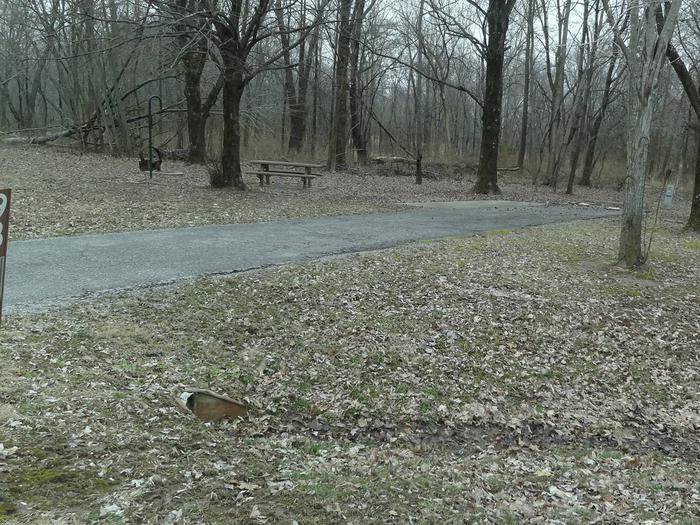 picnic table and fire pit to the left of camp pad, electric to the right of pad.