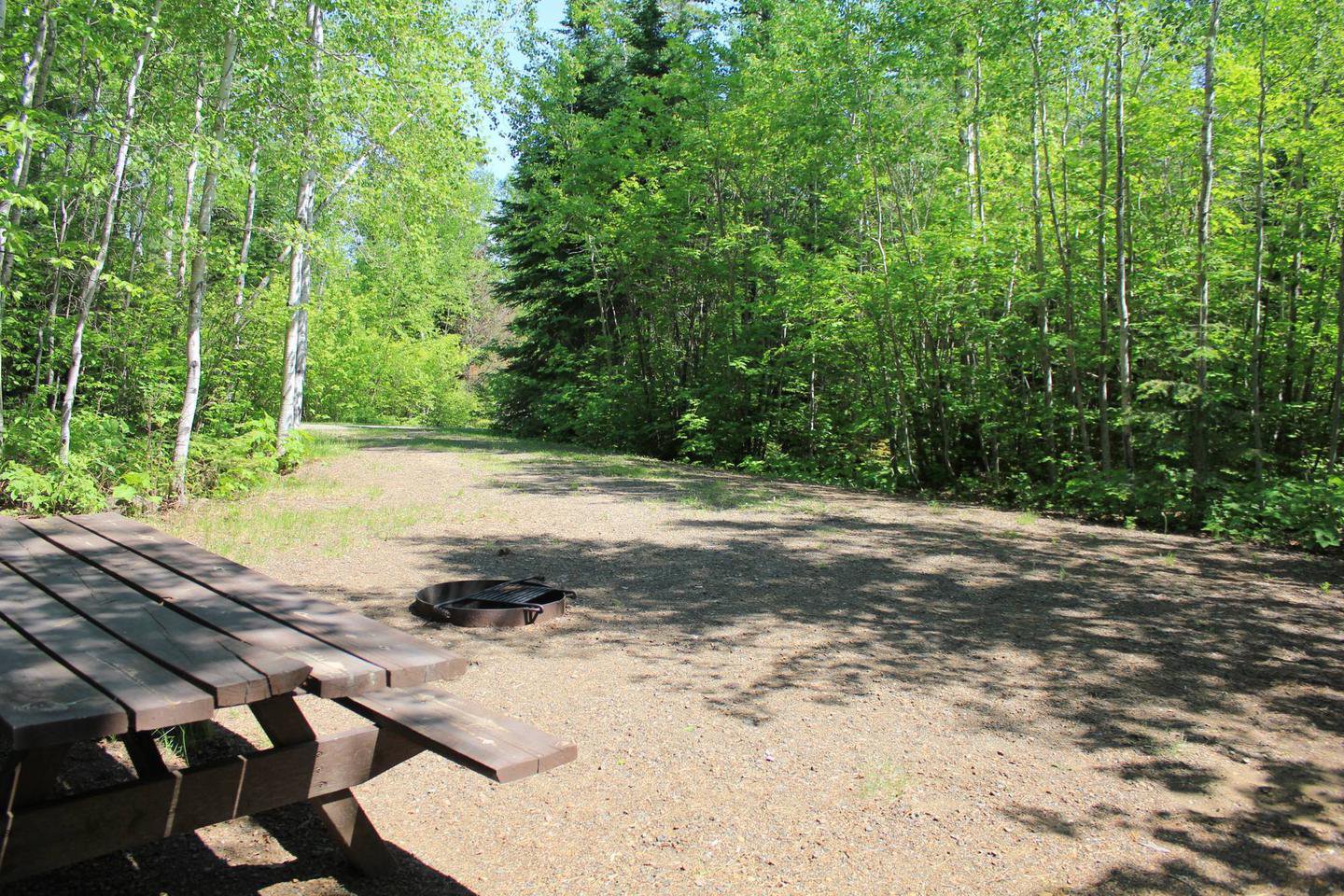 Site #16