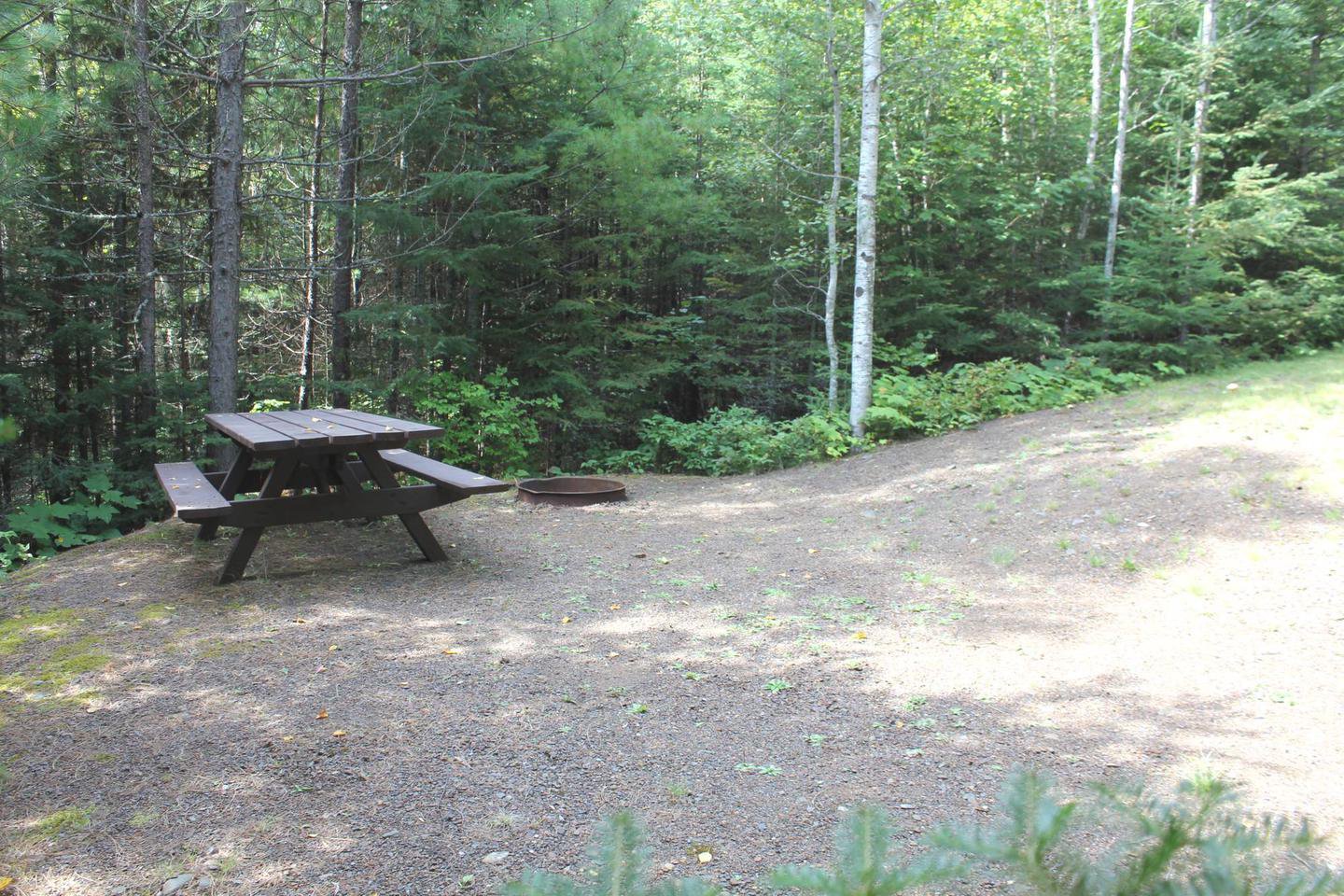 Site #5