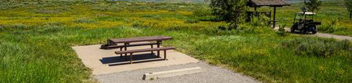 Site: F39, Loop F