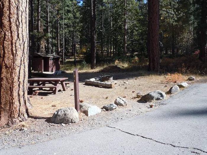 Cold Creek Campsite 2