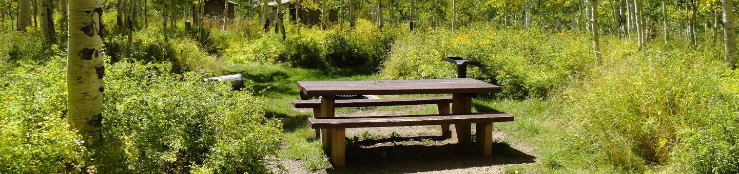 Campsite 15