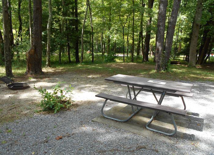 Take a trip to Cades Cove Campground Outdoorsy in Townsend, TN