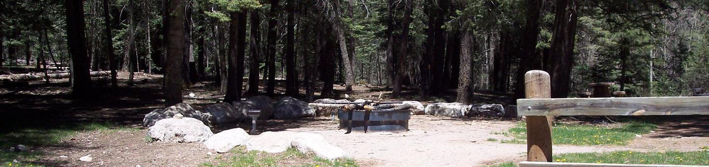 Group fire pit area at Black Bear Group Campground