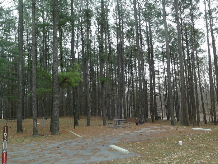 picnic table and fire pit to the left of camp pad, electric, water, sewer, and extra parking to the right of pad.