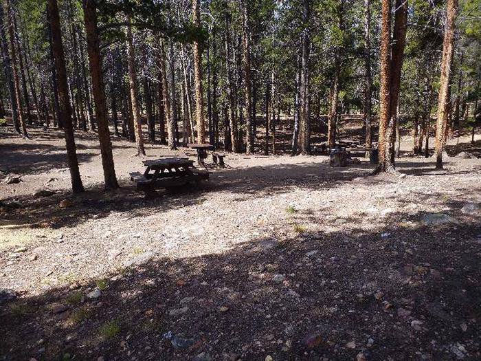 Printer Boy Group Campground, Site 1 picnic tables