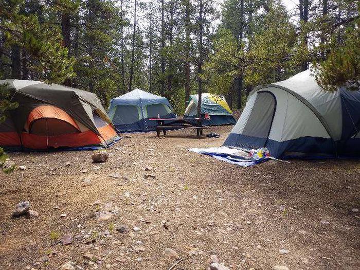 Printer Boy Group Campground, Site 4 tent area