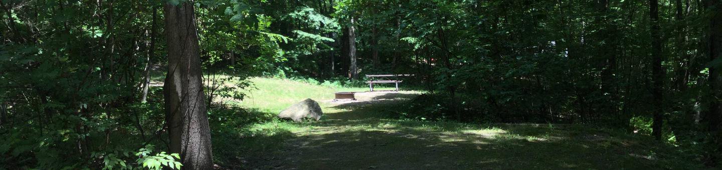 Dewdrop Recreation Area: Campsite 47