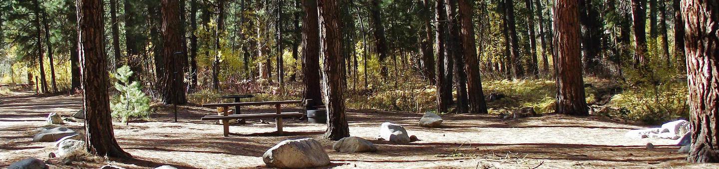 Dog Creek Campground