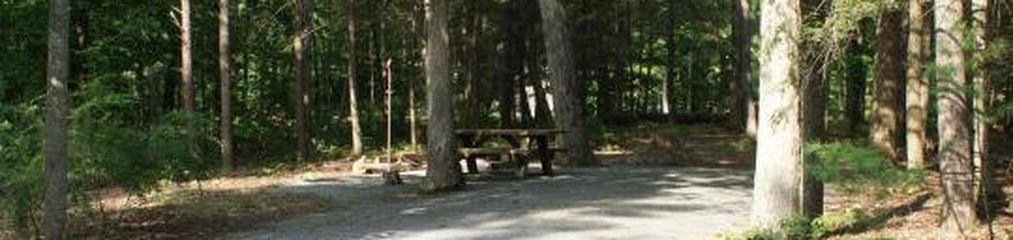 Site 5