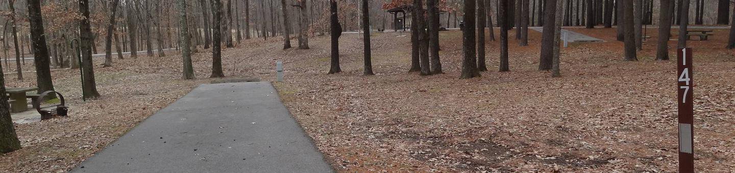 picnic table and fire pit to the left of camp pad, electric to the right of pad.