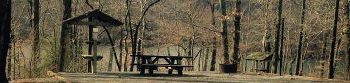 Site 29