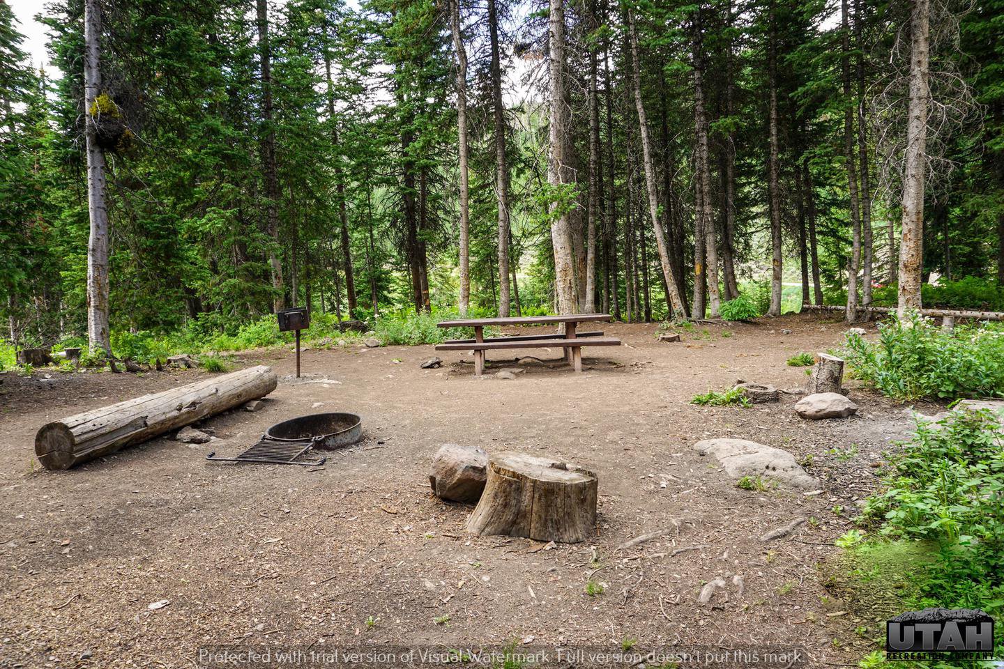 Mill Hollow Campground B - 028