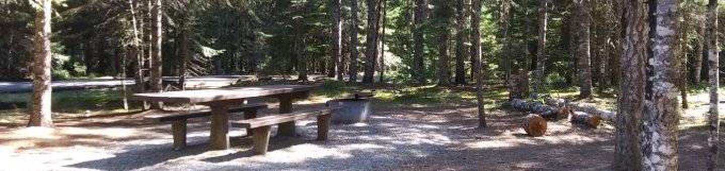 Devil's Elbow Campground Site 14