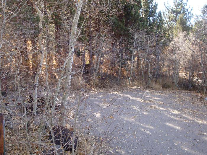 June Lake CG SITE 4