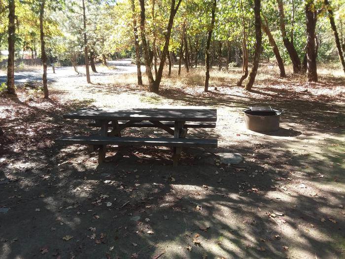 Curly jack Campground site #16