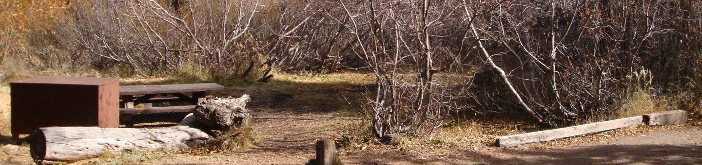 Twin Lakes CG SITE 66