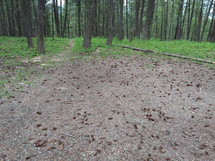 Rexford Bench Site 42