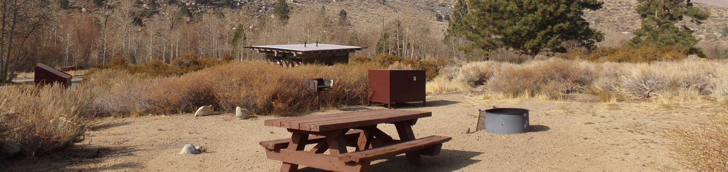 Four Jeffery Campground site #31 featuring picnic table, food storage, and fire pit.