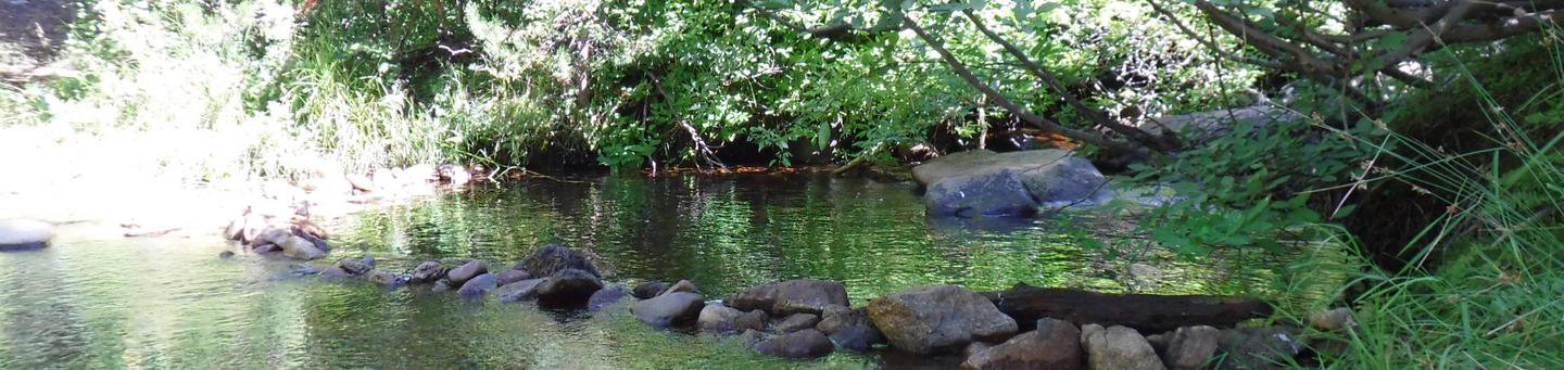 Chapman Creek
