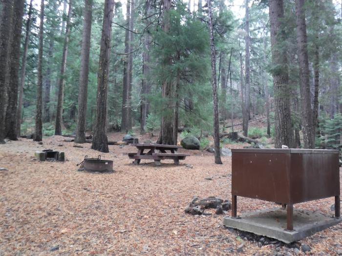 Wild Plum Campground Outdoorsy
