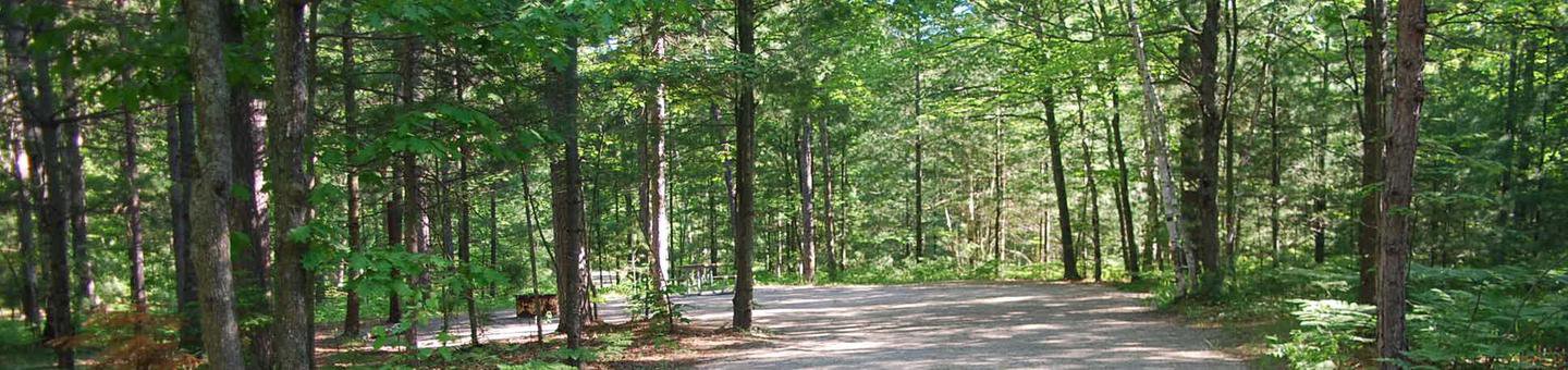 Camp Seven Campground site #24 picnic table and fire pit among the trees.