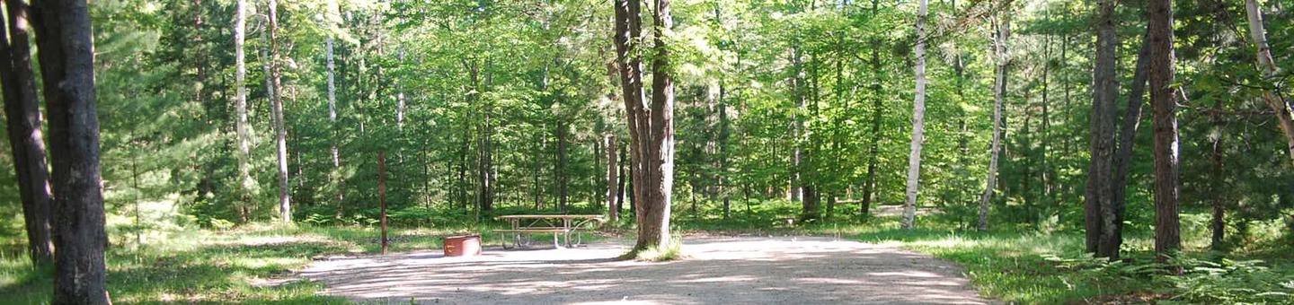 Camp Seven Campground site #22 picnic table and fire pit among the trees.