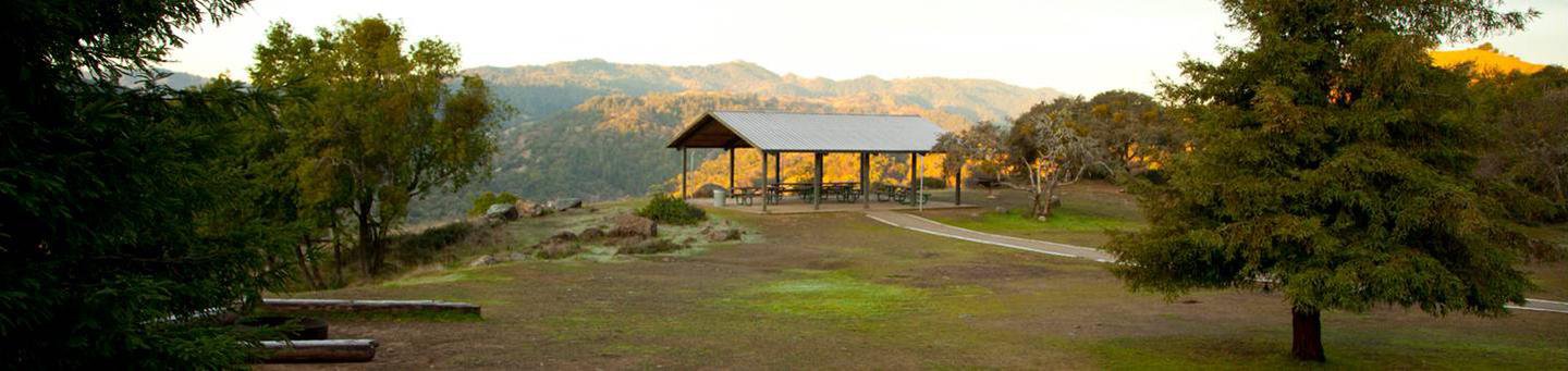 Group Site D -
