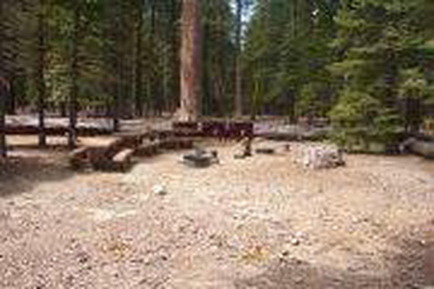 Lost Creek Group Site 8