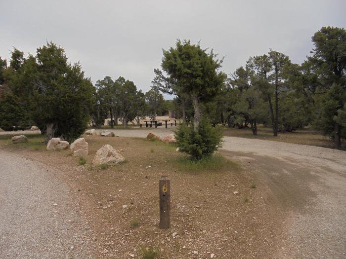 Camp Site 006