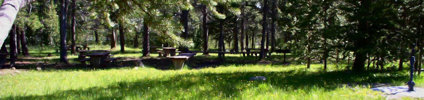 Willow Park Group Area