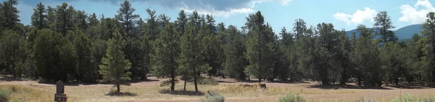 Arch Dam Campground: Site 3