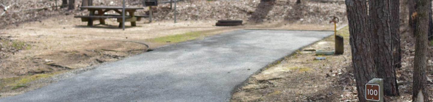 Bear Site 100, March 1, 2020