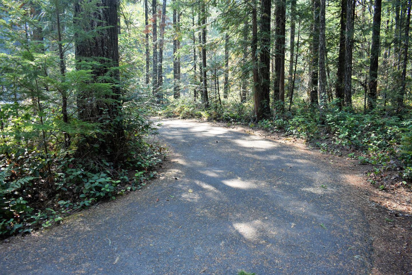 Additional parking area which can accommodate RV's and trailers