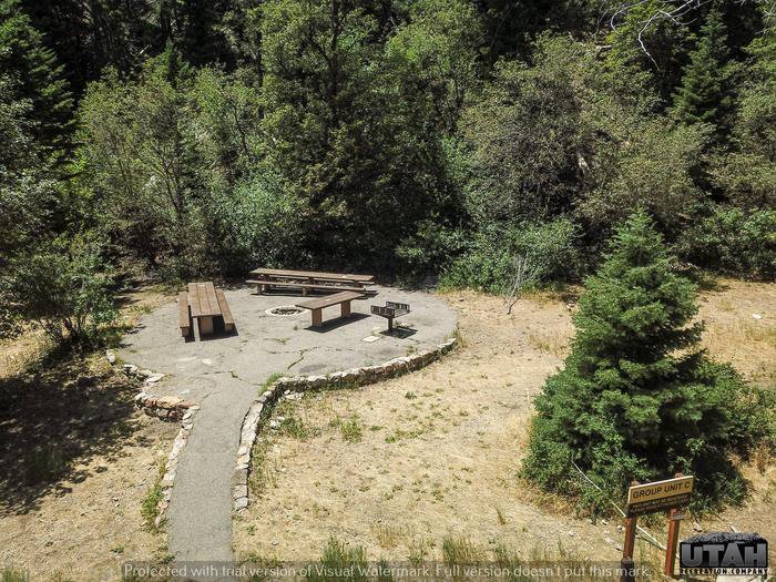 BEAR CANYON - C