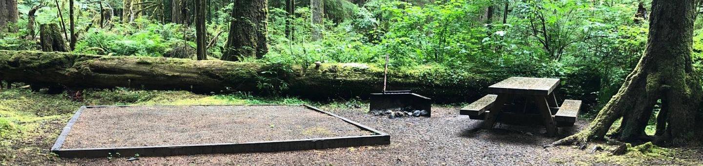 Site 53