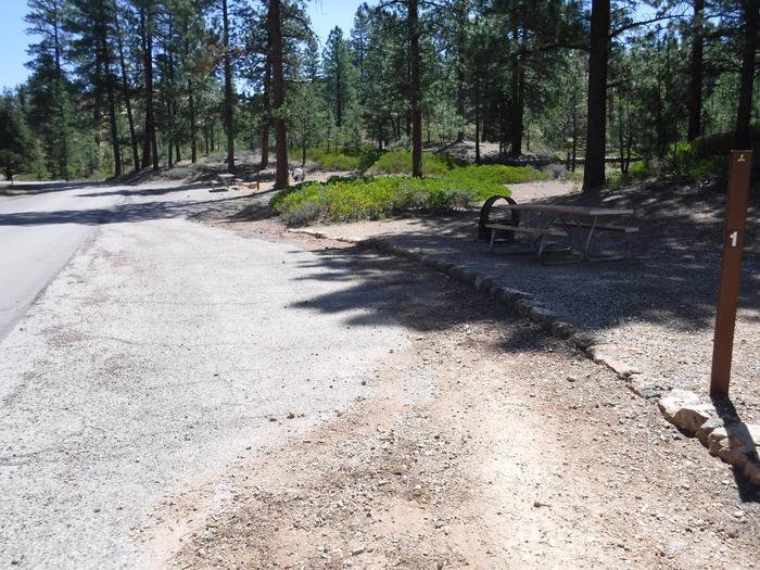 North Campground - Site 1