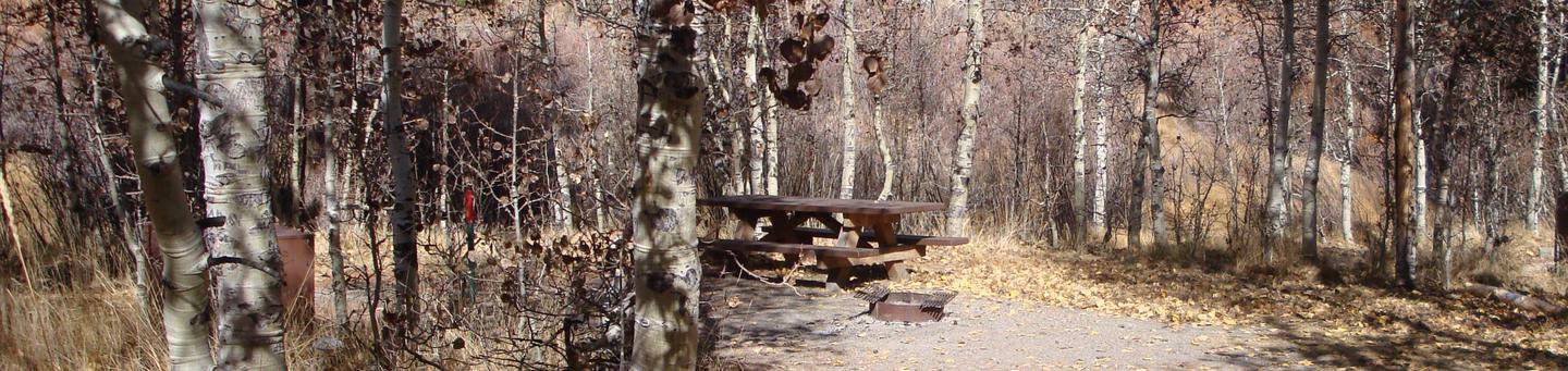 Reversed Creek CG SITE 8
