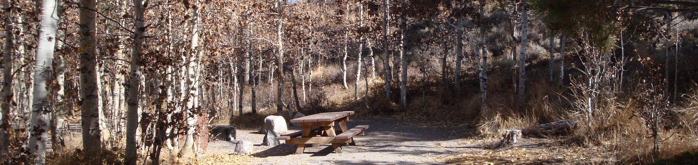 Reversed Creek CG SITE 12