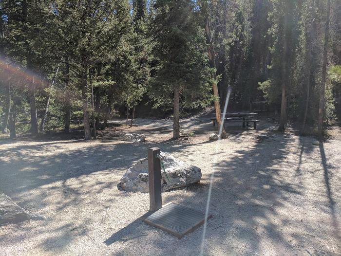 Boundary Creek Campsite #13