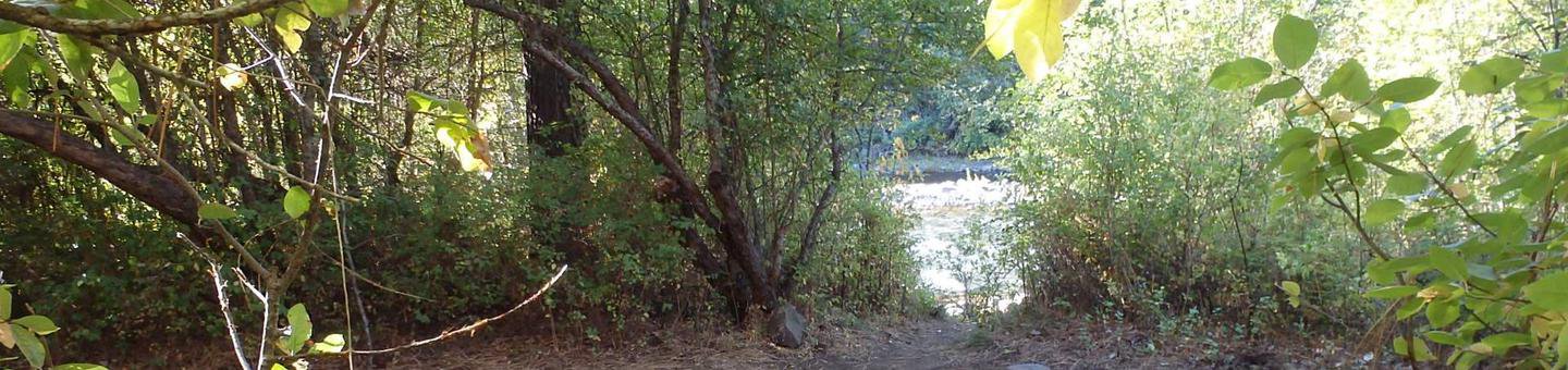 Nice Site with river access