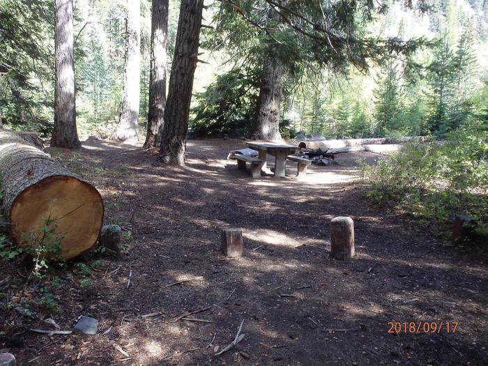 Nice open site with access to the American River
