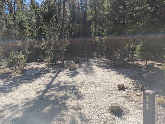 Boundary Creek Campsite #11