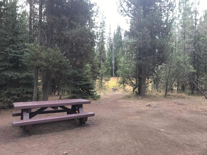 Site 9