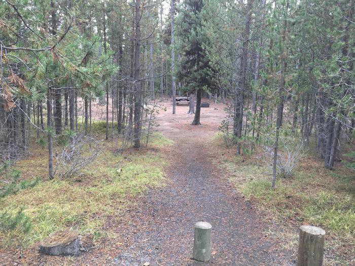 Site 62