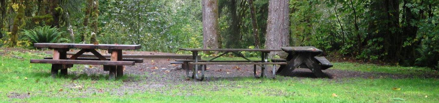Group Site