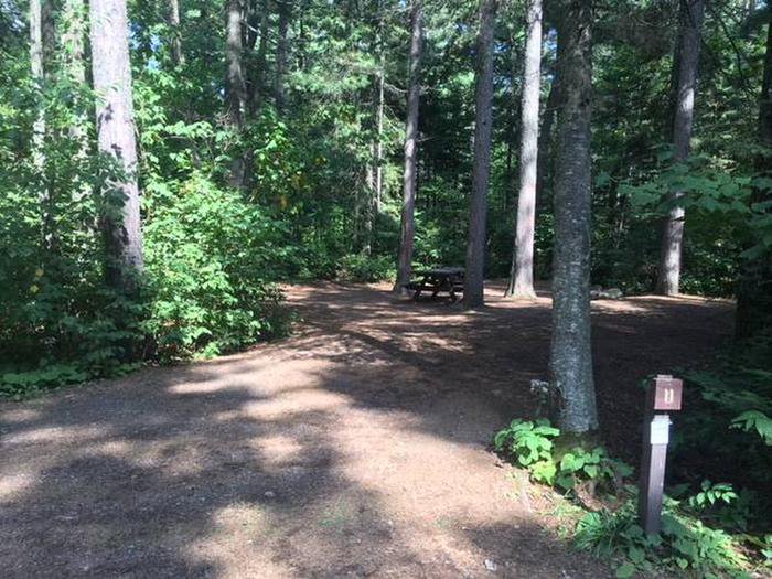 Site 11