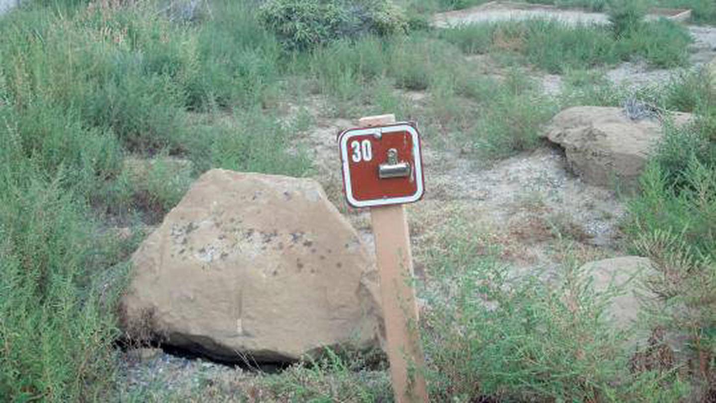 Campsite 30
